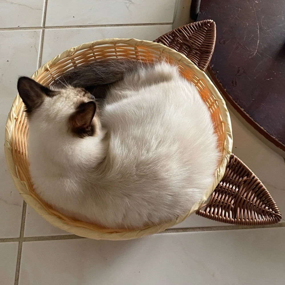 Woven Wicker Style Siamese Cat Cushion Bed